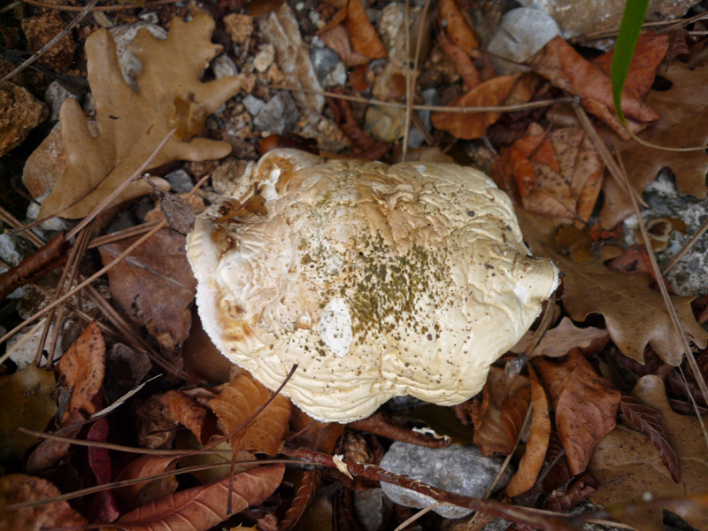 Anche questo che e''?